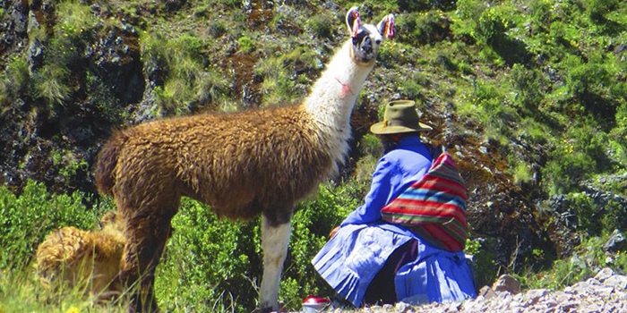 Cultura andina